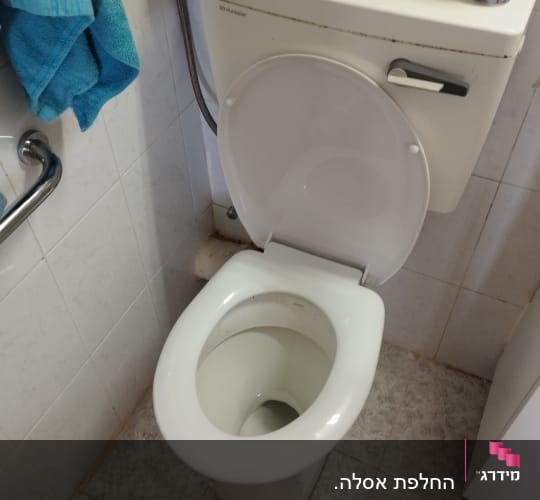 אסלה פתוחה עם מברשת ניקוי ליד